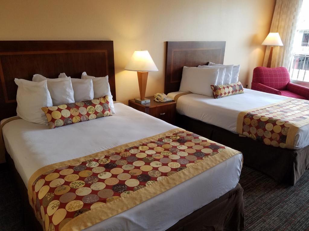 Sun Inn And Suites 基西米 外观 照片