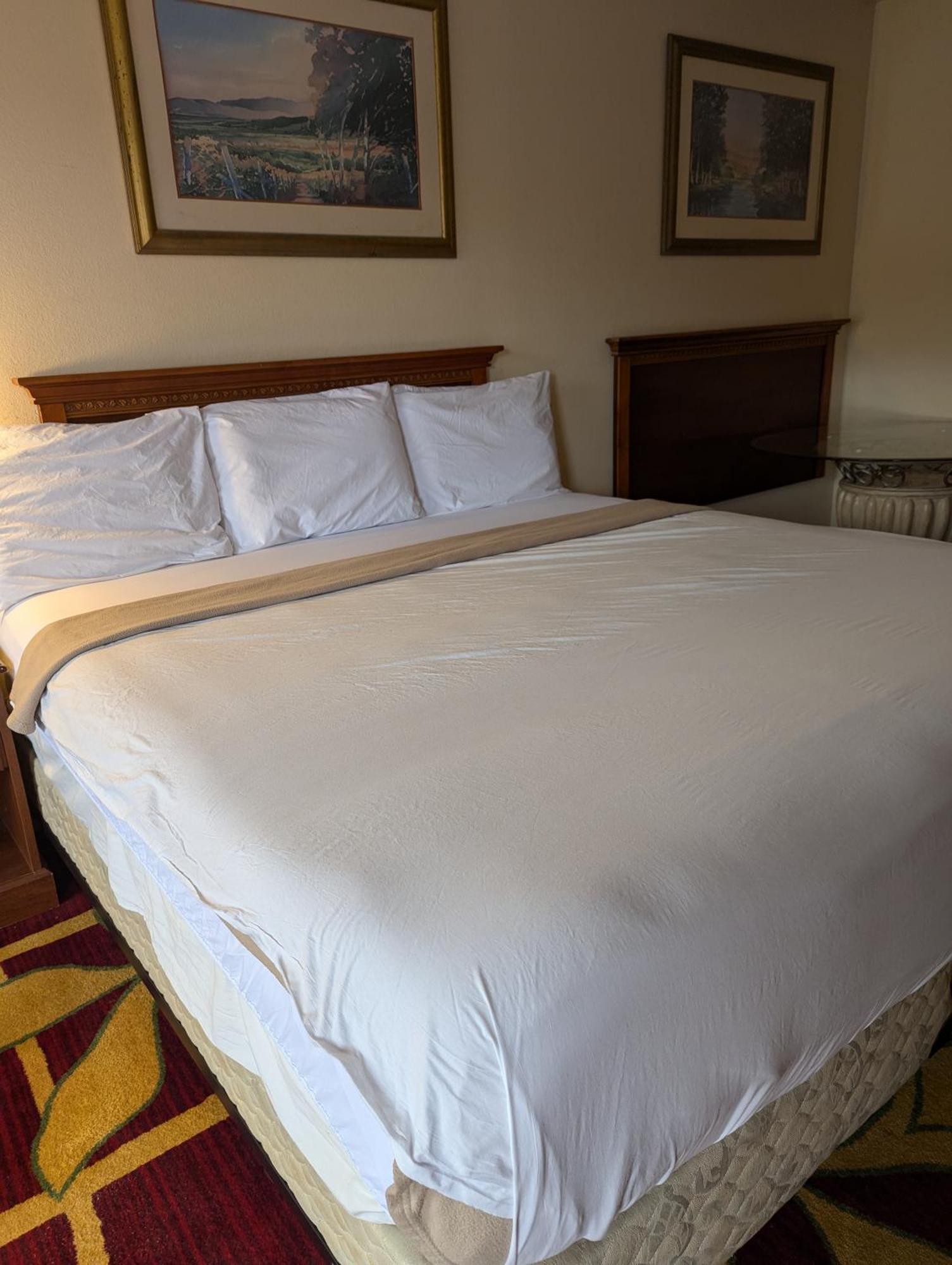 Sun Inn And Suites 基西米 外观 照片